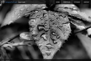 screenshot von fotografien-art.ch